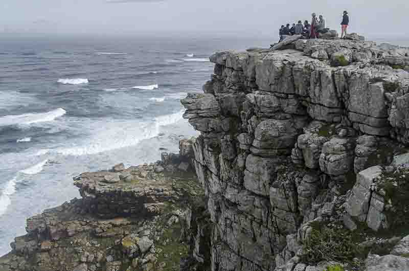 55 - Sudafrica - parque nacional Table Mountain - cabo de Buena Esperanza - arriba